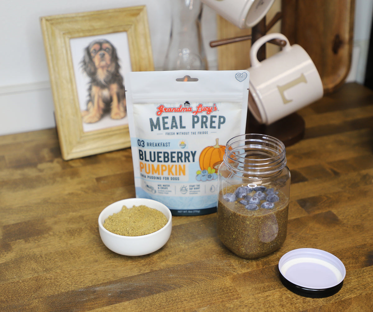 Blueberry Pumpkin Chia Seed Pudding