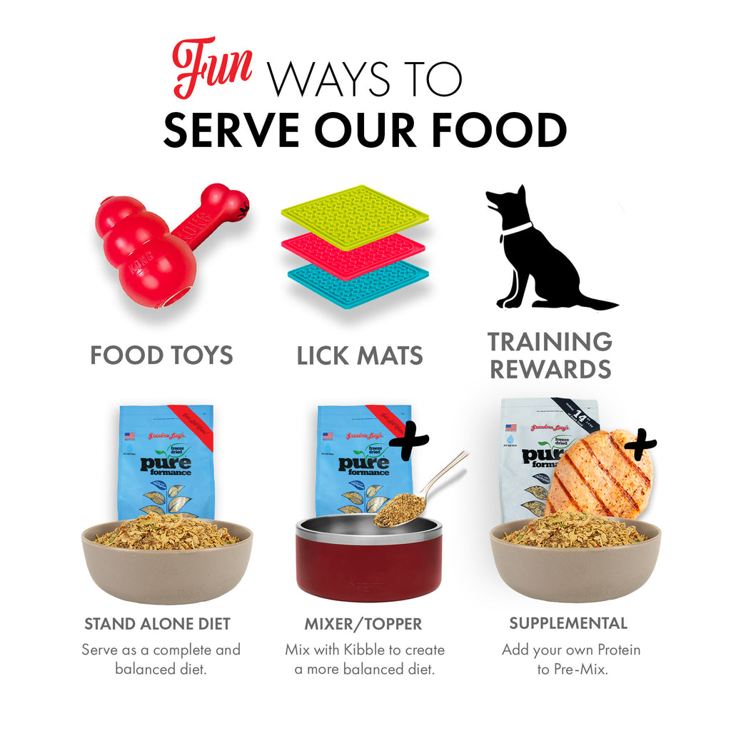 Unique and playful ways to present Grandma Lucy's freeze-dried dog food, making mealtime fun