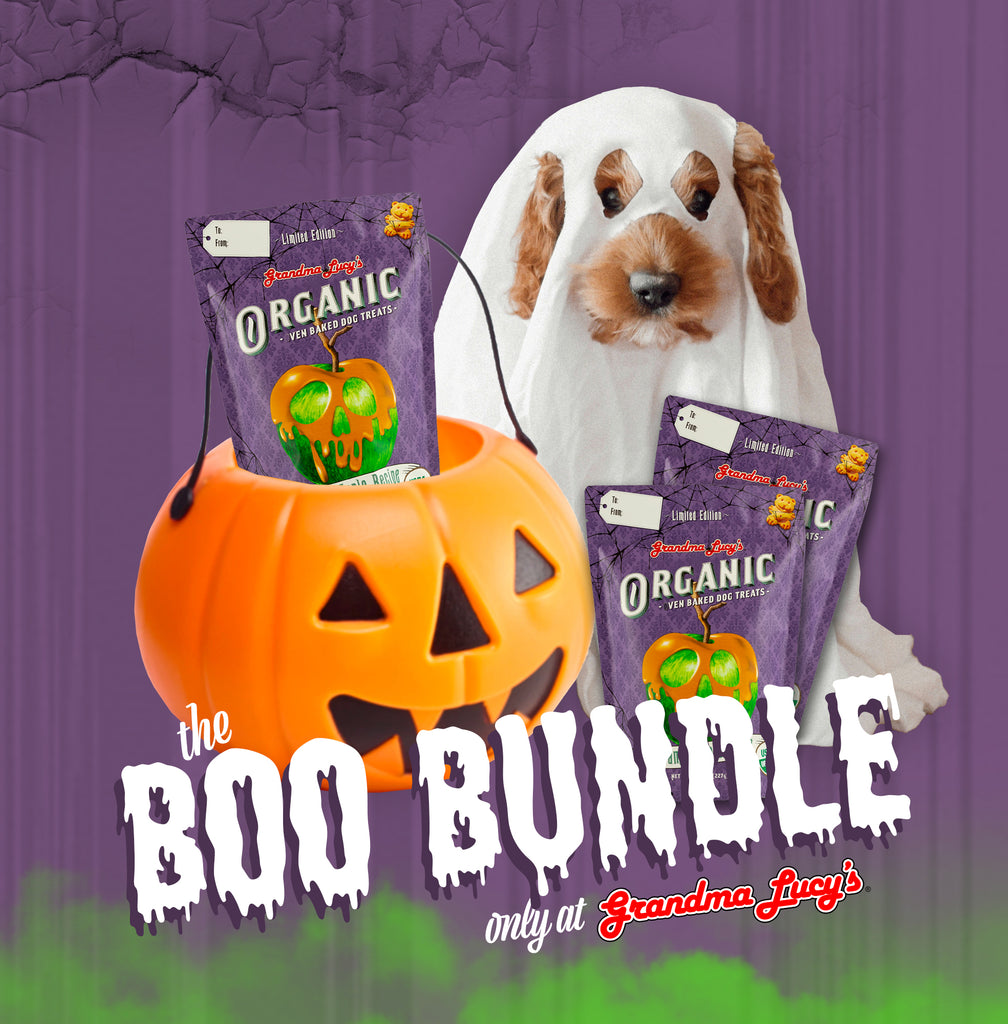Grandma Lucy's caramel organic oven-baked dog treats 6 pack Boo bundle. 