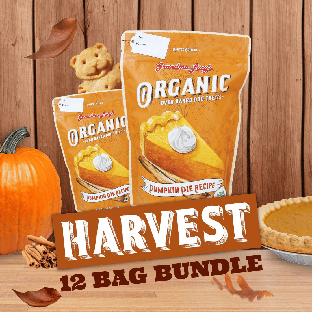 Organic Pumpkin Pie