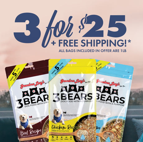 Bundle of three 1lb bags of Grandma Lucy's grain inclusive dog food: chicken, fish, and beef behind a sunset featuring "3 for $25, free shipping" text.
