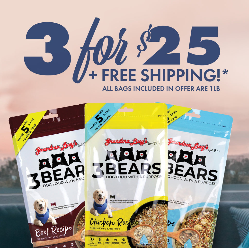 Bundle of three 1lb bags of Grandma Lucy's grain inclusive dog food: chicken, fish, and beef behind a sunset featuring "3 for $25, free shipping" text.