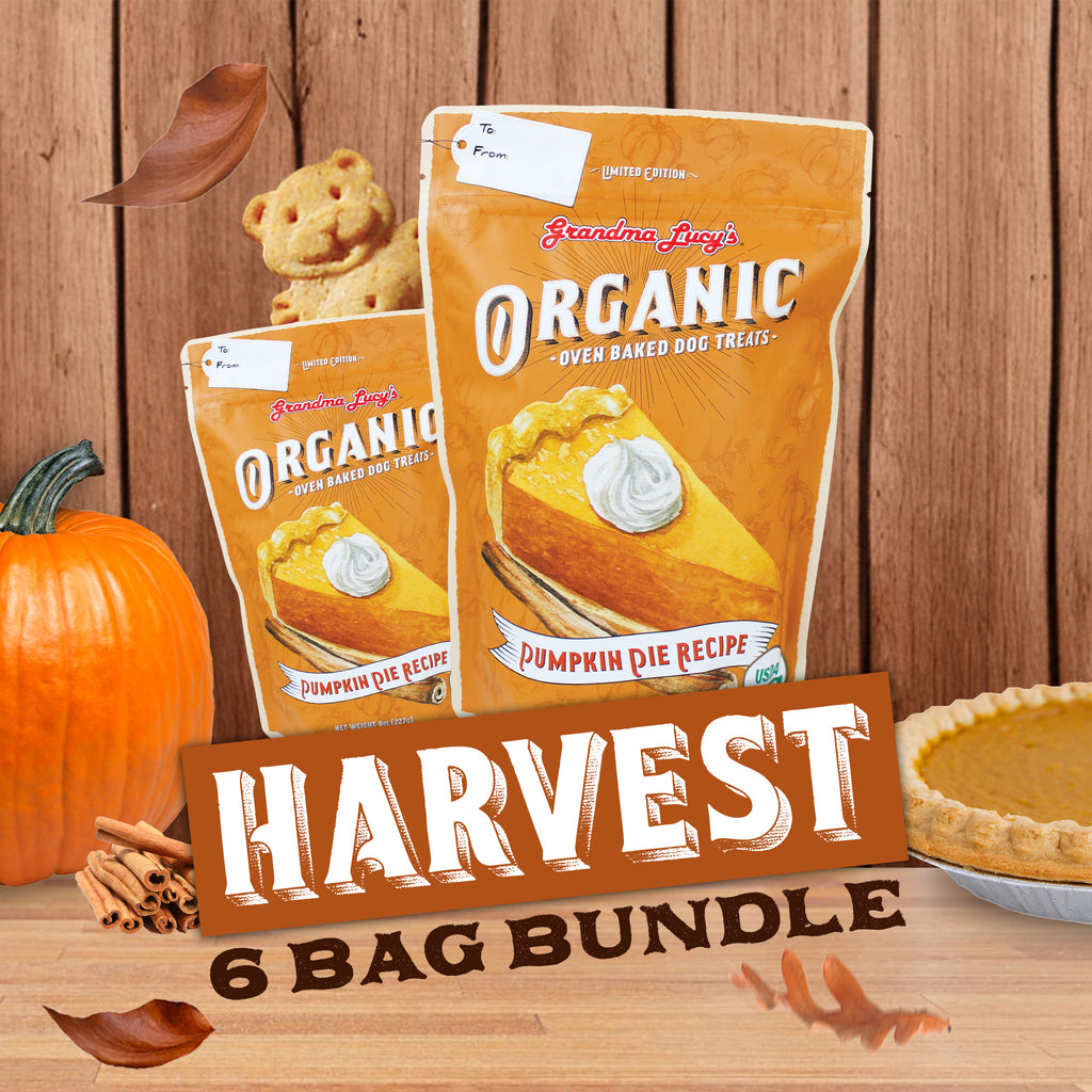 Grandma Lucy's organic oven-baked pumpkin pie dog treats labeled "harvest  6 pack bundle," featuring dog treats in a Fall harvest setting. 