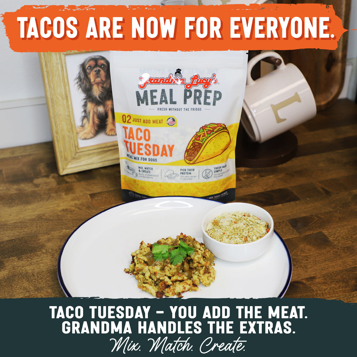 Taco Tuesday