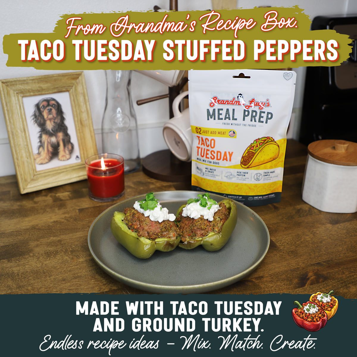 Taco Tuesday