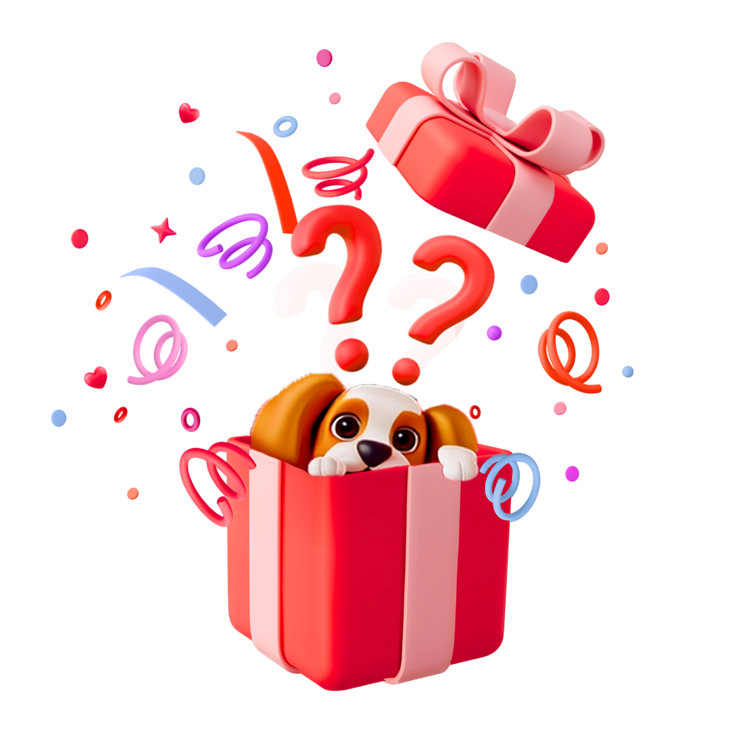 Mystery Gift