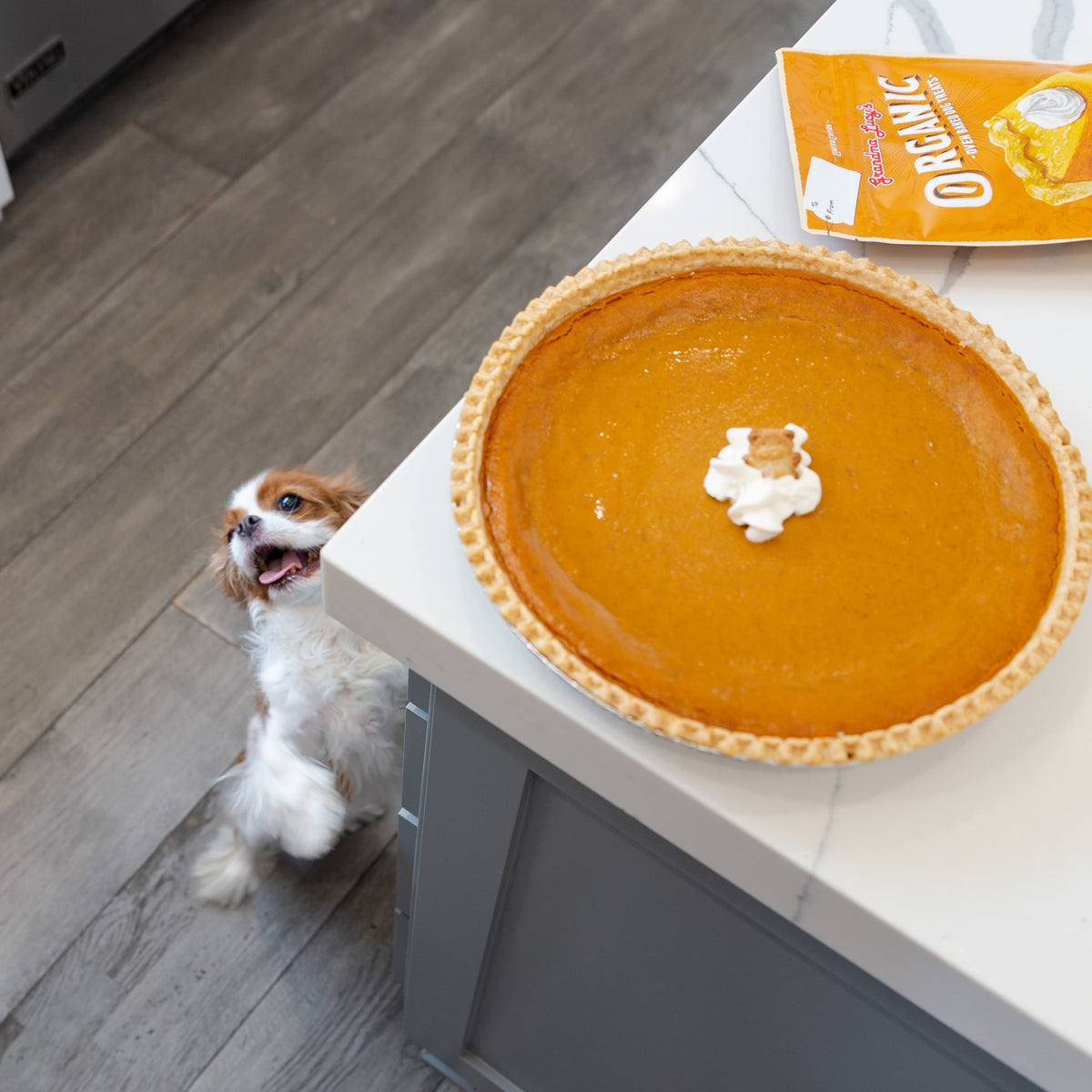 Fall Harvest Bundle – 12 Pack Organic Pumpkin Pie Treats