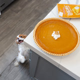 Fall Harvest Bundle – 12 Pack Organic Pumpkin Pie Treats