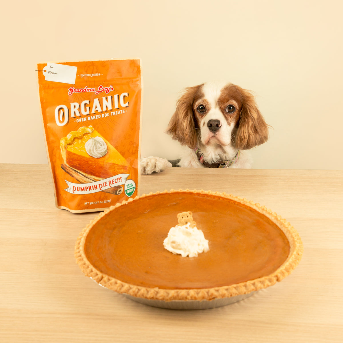Fall Harvest Bundle – 12 Pack Organic Pumpkin Pie Treats
