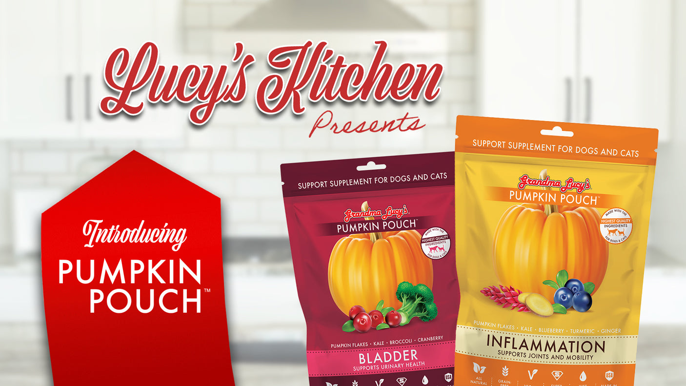 Pumpkin Pouch Digestive