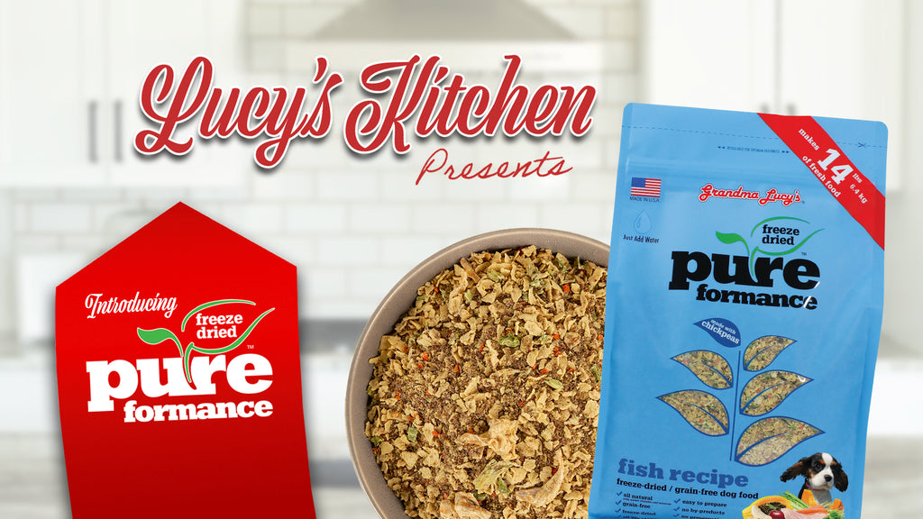 Grandma Lucy's Pureformance freeze-dried dog food instructional video.