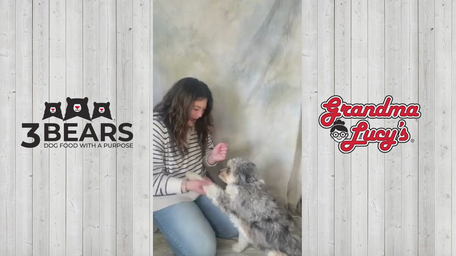 Barbara Eigen バーバラ・アイガン 洋ナシプレート 4枚 USA 3 Bears Chicken – Grandma Lucy's