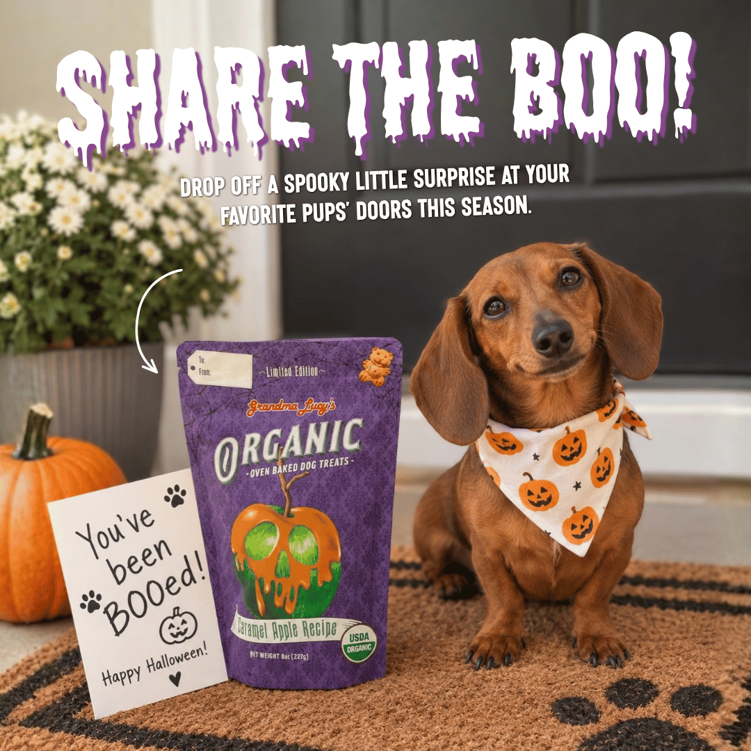 Boo Bundle – 12 Pack Organic Caramel Apple Treats
