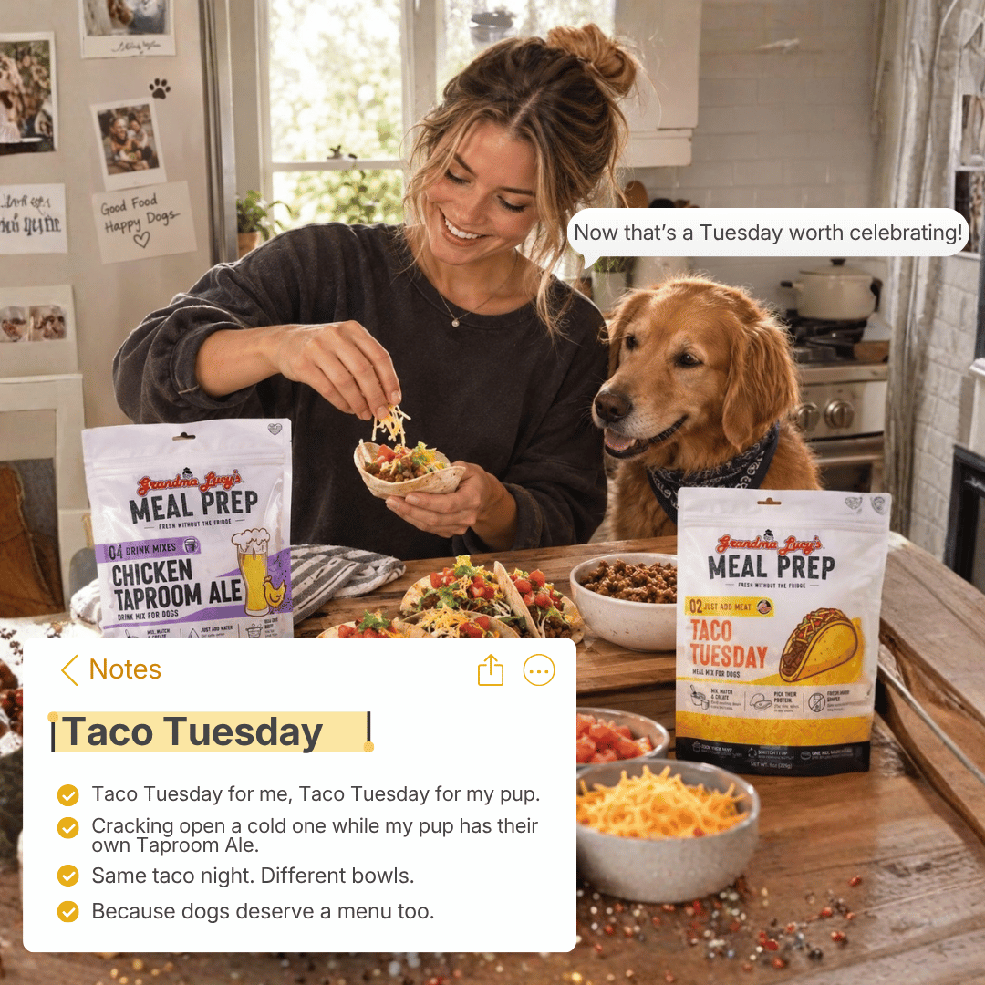 Taco Tuesday Kit