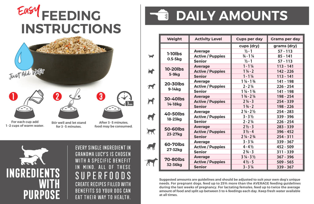 Daily feeding amounts for Artisan pork dog food and three step feeding instructions visual. Call 1-800-906-5829 for assistance.
