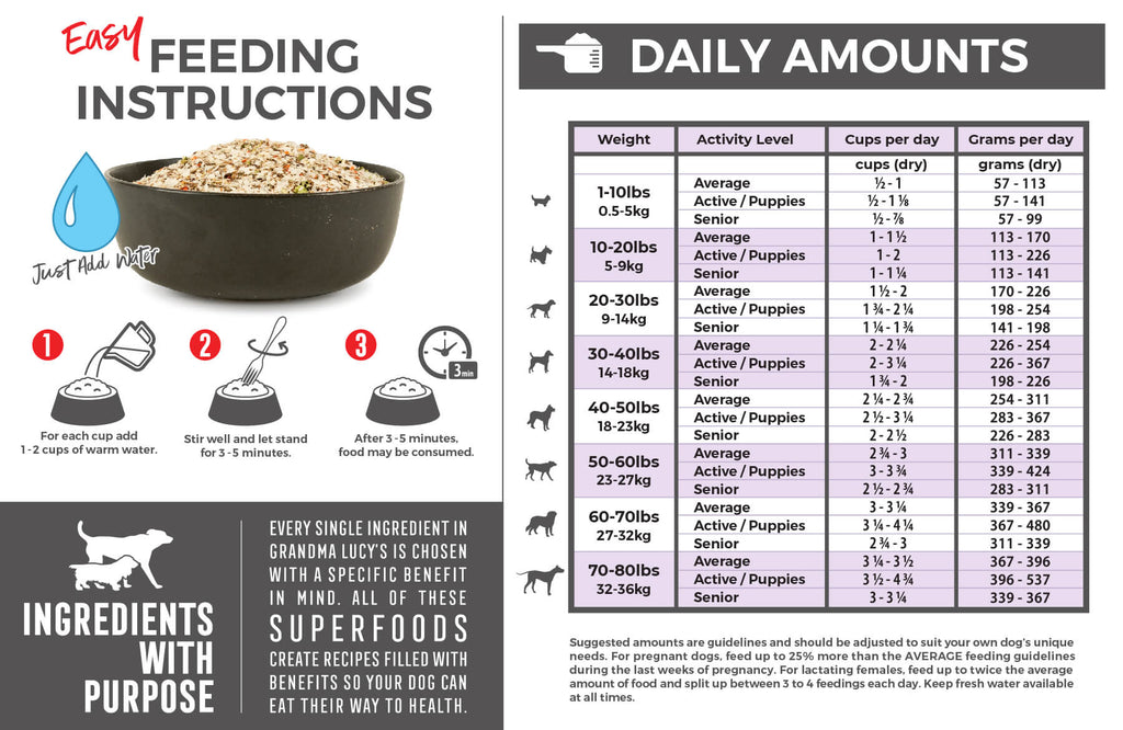 Daily feeding amounts for Artisan venison dog food and three step feeding instructions visual. Call 1-800-906-5829 for assistance.