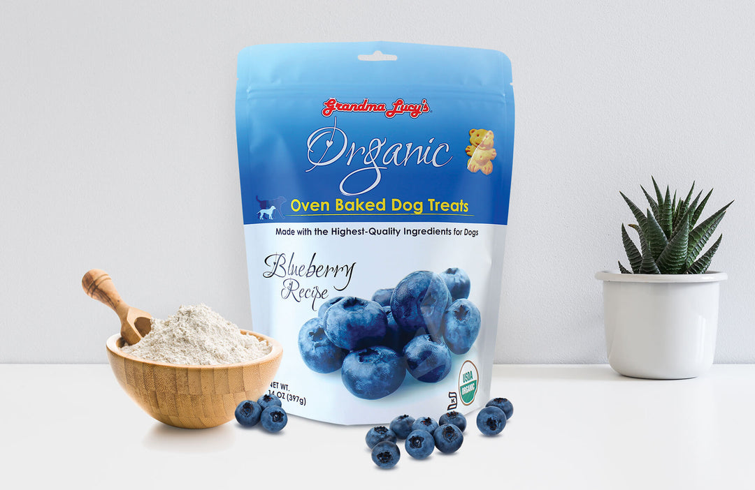 Grandma Lucy's Organic Oven Baked Blueberry Flavor Dog Treats