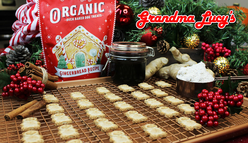 A festive kitchen scene featuring Grandma Lucy's organic oven-baked  gingerbread dog treats on an oven rack.