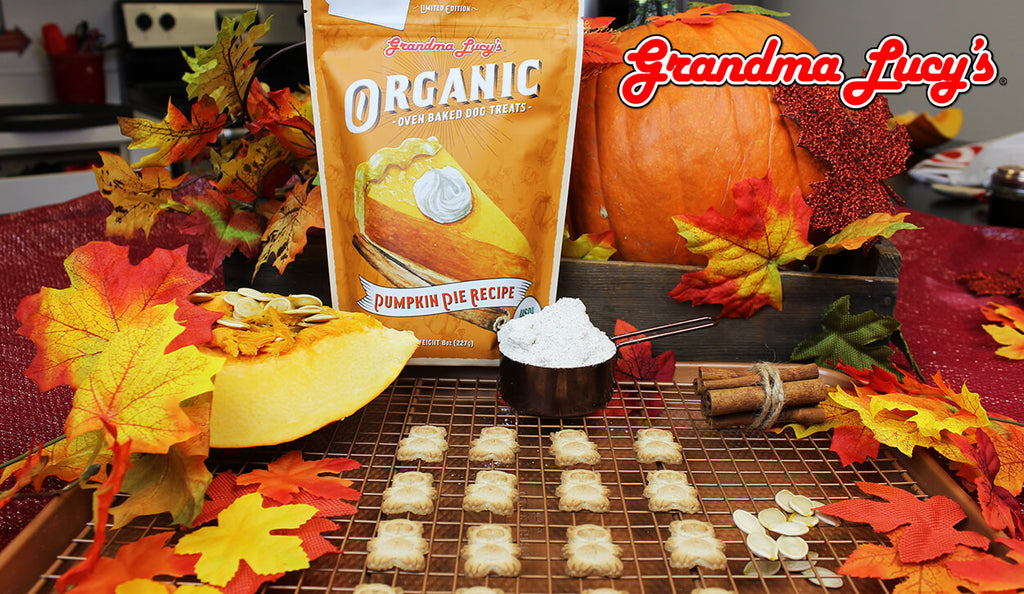 A festive Fall kitchen scene featuring Grandma Lucy's organic oven-baked pumpkin pie dog treats on an oven rack.