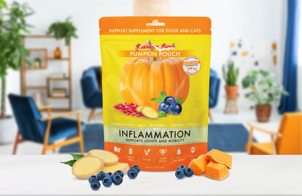 Pumpkin Pouch - Inflammation