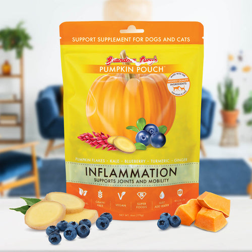 Pumpkin Pouch Inflammation