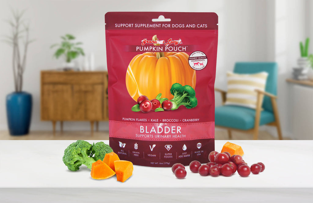 Pumpkin Pouch - Bladder