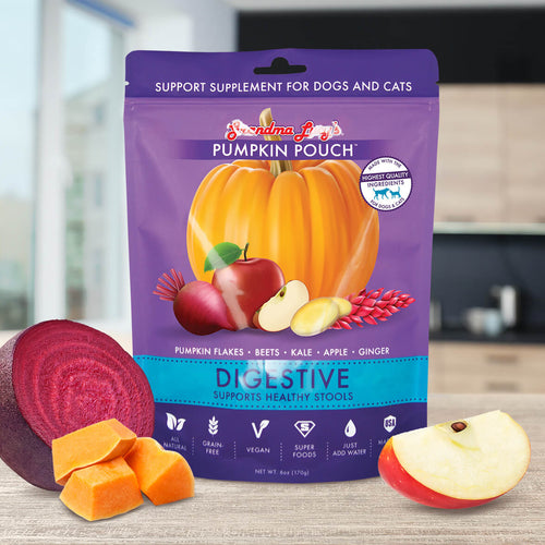Pumpkin Pouch Digestive