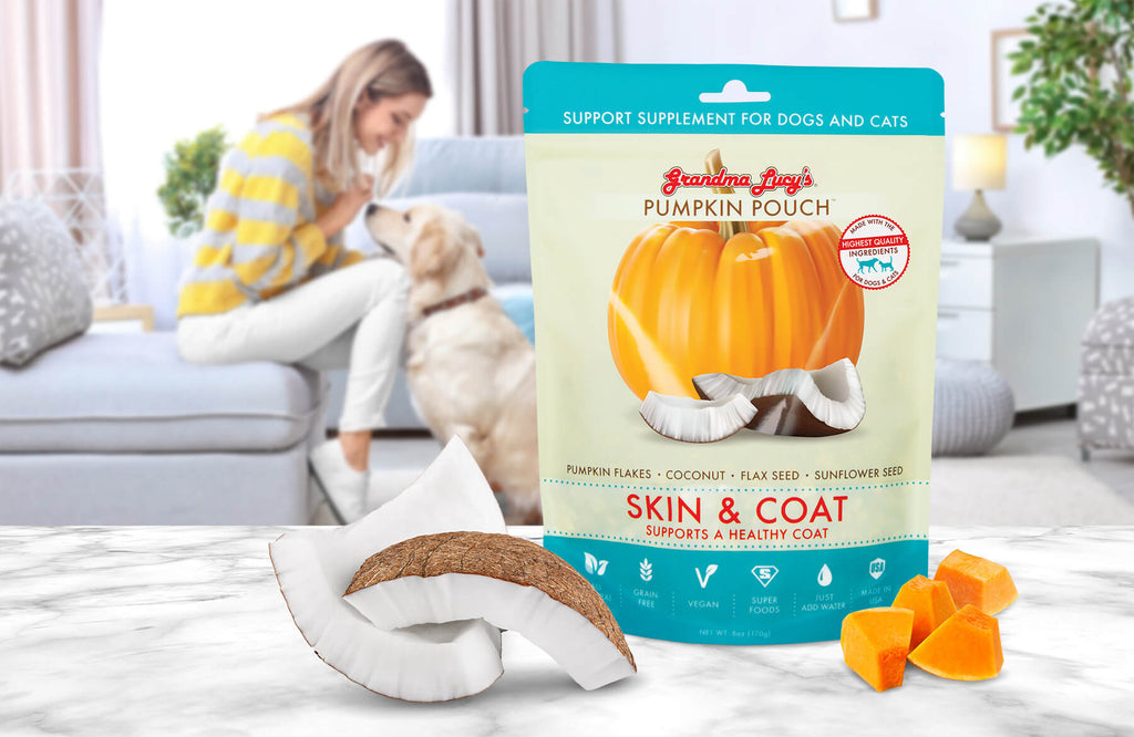 Pumpkin Pouch - Skin and Coat