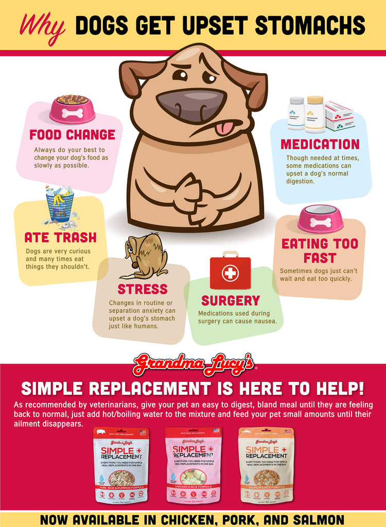 Why dogs get upset stomachs: Food change, Ate trash, Stress, Surgery, Eating too fast, Medication. Simple Replacement is here to help.