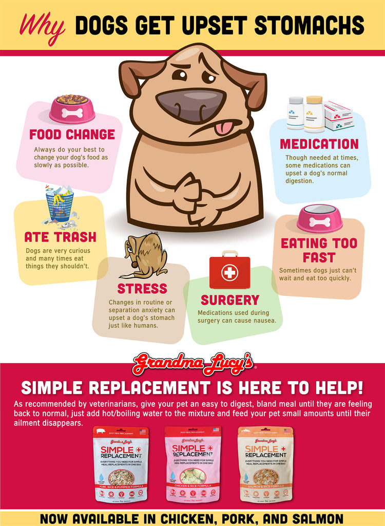 Why dogs get upset stomachs: Food change, Ate trash, Stress, Surgery, Eating too fast, Medication. Simple Replacement is here to help.