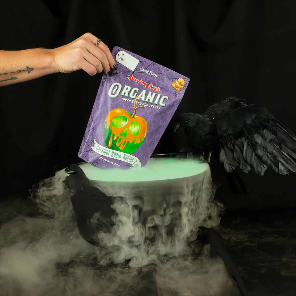 Grandma Lucy's caramel apple organic oven-baked dog treats being lifted out of bubbling Halloween caldron.  